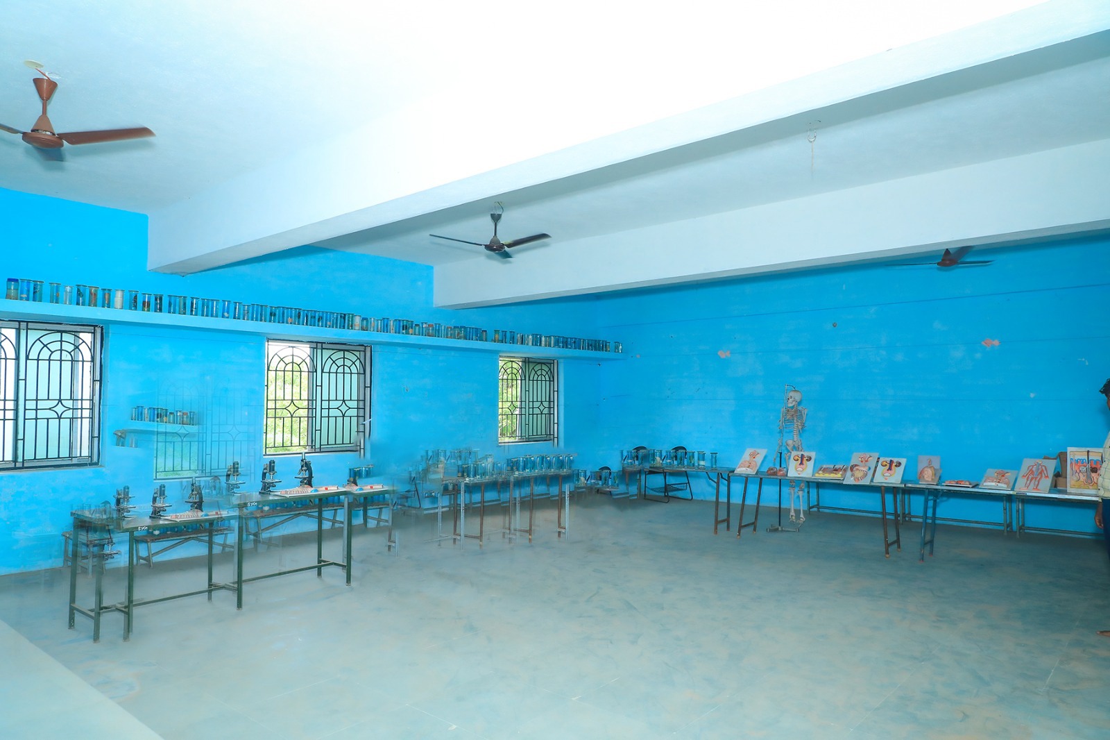 Gallery Image 6